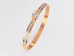 Stainless Steel Bangle ZC-0427C