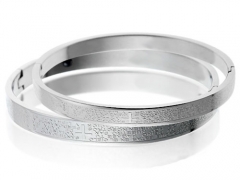 Stainless Steel Bangle ZC-0046A