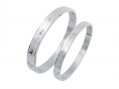 Stainless Steel Bangle ZC-0289