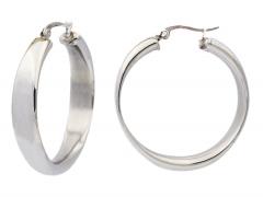 Stainless Steel Earrings ES-0474