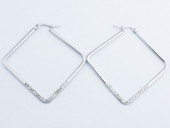 Stainless Steel Earrings ES-0847