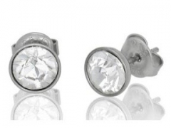Stainless Steel Earrings ES-0025A