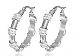 Stainless Steel Earrings ES-0710