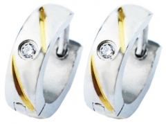 Stainless Steel Earrings ES-0899 ES-0899 ES-0899 ES-0899