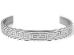 Stainless Steel Bangle ZC-0100