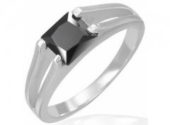 Stainless Steel Ring RS-0613