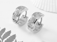 Stainless Steel Earrings ES-1633A