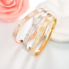 Stainless Steel Bangle ZC-0524
