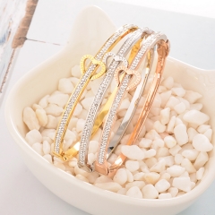 Stainless Steel Bangle ZC-0525
