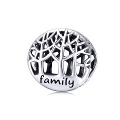 925 Sterling Silver Charms SCC1144