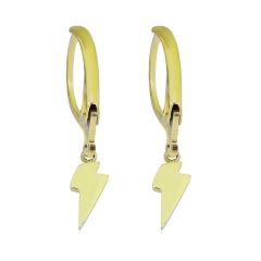 stainless steel fashion gold earrings hooks  PE109