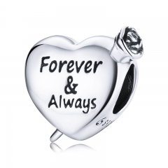 925 Sterling Silver Charms  BSC480