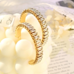 Fashion Jewelry 18k Gold Hoop Zircon Stainless Steel Earring ES-2374