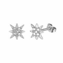 316L Stainless steel earrings  PE315W