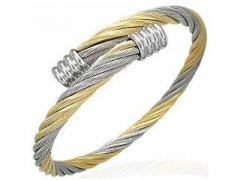 Stainless Steel Bangle ZC-0069C