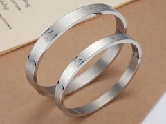 Stainless Steel Bangle ZC-0274