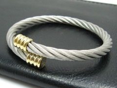 Stainless Steel Bangle ZC-0069
