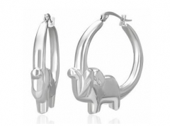 Stainless Steel Earrings ES-0343