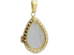Stainless Steel  Locket Pendant With Czs PS-868