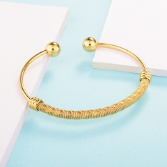 Stainless Steel Bangle ZC-0485