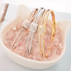 Stainless Steel Bangle ZC-0516