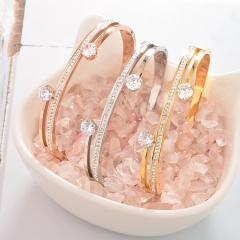 Stainless Steel Bangle ZC-0518