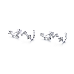 925 Sterling Silver Earrings SCE682
