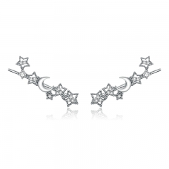 sterling silver fashion earrings jewelry SCE926