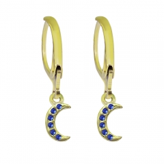 stainless steel fashion gold earrings hooks  PE067