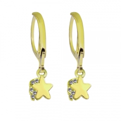 stainless steel fashion gold earrings hooks  PE078