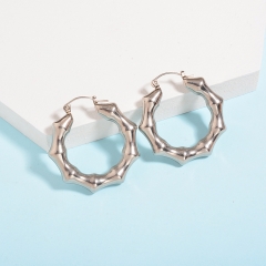 Stainless Steel Earring ES-2057A