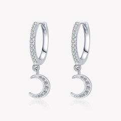 925 Sterling Silver Earrings  EH34