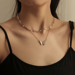 Stainless Steel Necklace  NS-0954