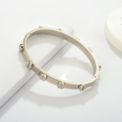 Fashion Stainless Steel Bangle ZC-0573A