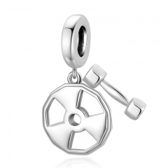 925 Sterling Silver Charms SCC2053