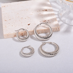 Stainless Steel Earring ES-2221A
