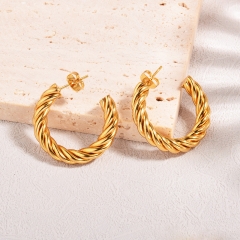 Stainless Steel Earring ES-2212A