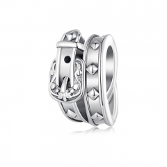 925 Silver Fashion Jewelry Charms  SCC2568