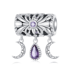 925 Silver Fashion Jewelry Charms  SCC2631