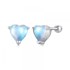 925 Sterling Silver Fashion Jewelry Ladies Earrings  SCE1629
